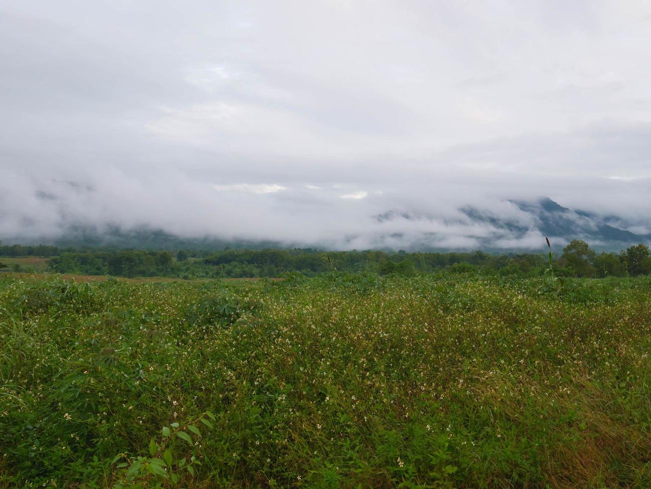beau paysage de brouillard dans les montagnes photo