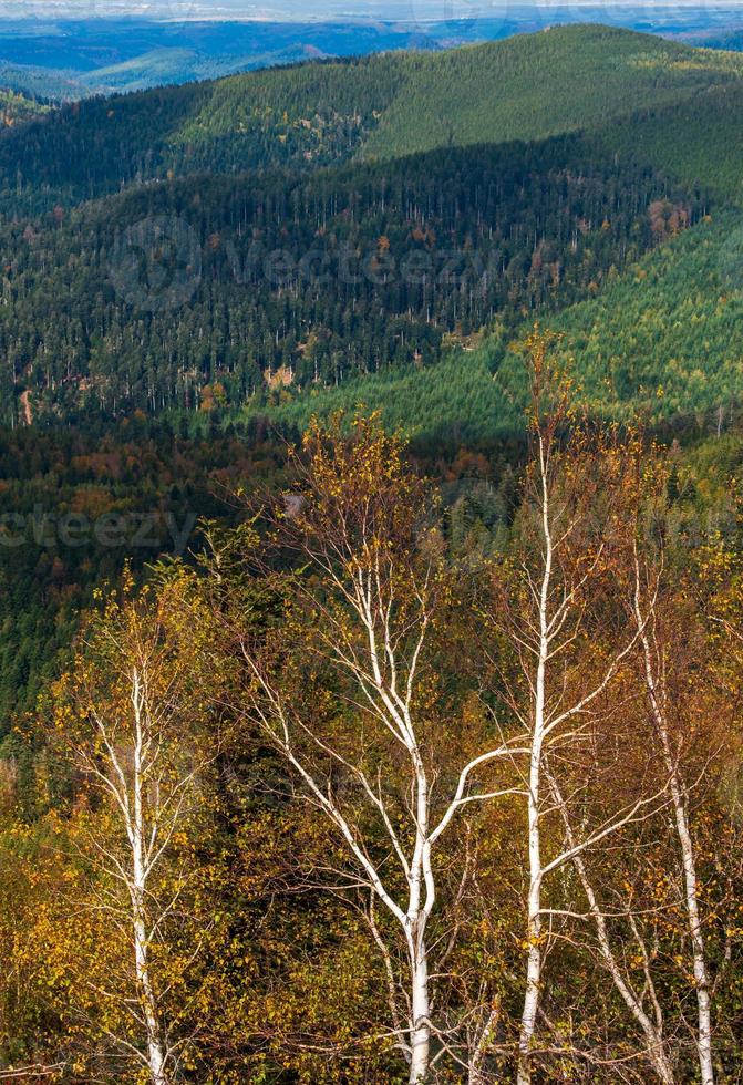 Vue depuis le sommet de la montagne sur les Vosges en Alsace, France photo