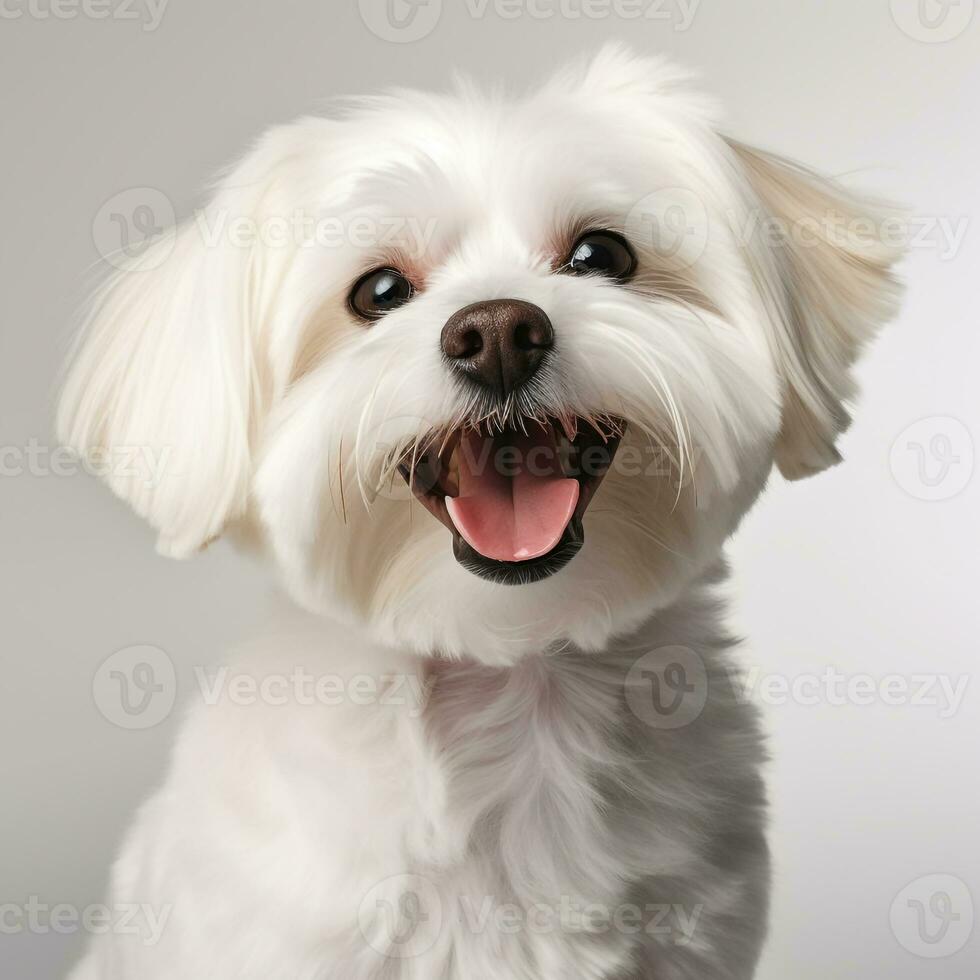 abstrait chien chiot aquarelle art portrait coloré blanc Contexte ai génératif photo