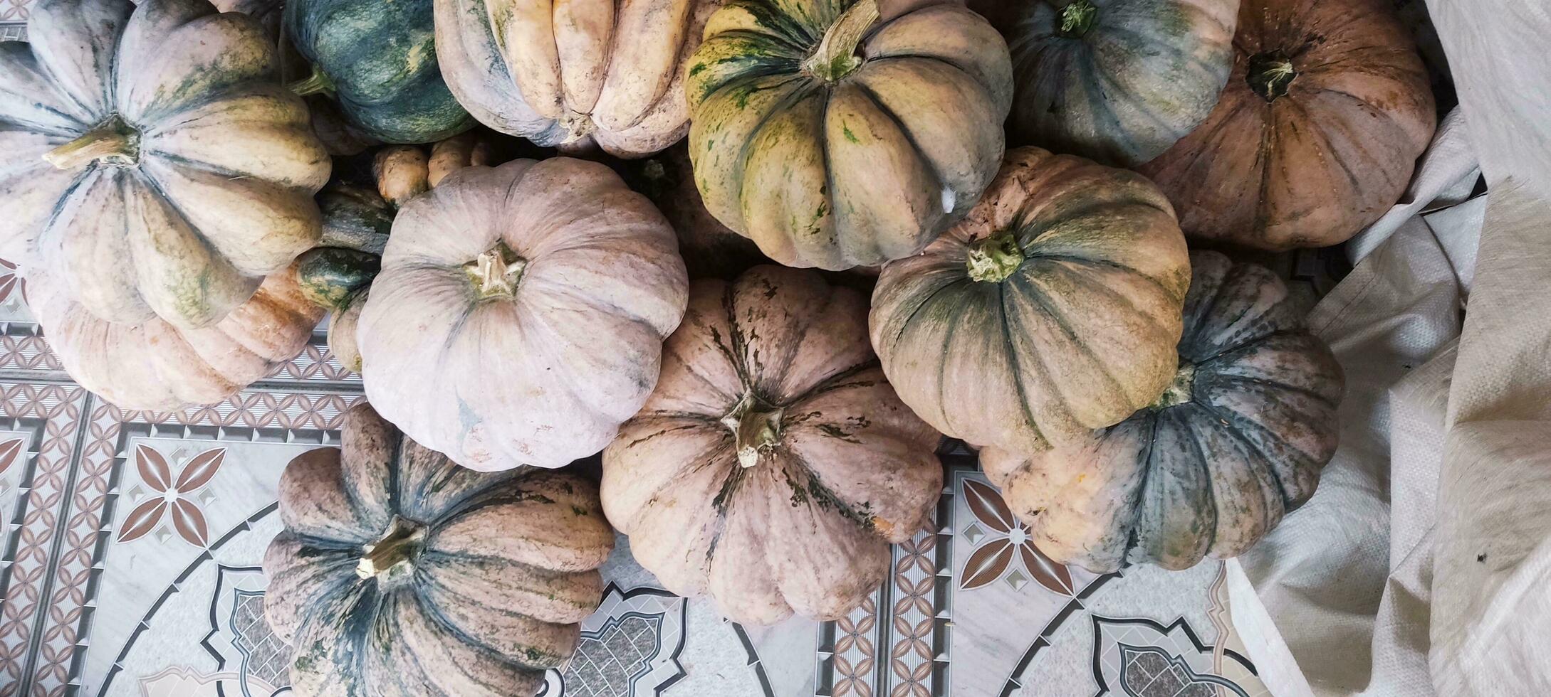 photo de une réel citrouille juste pris de le jardin