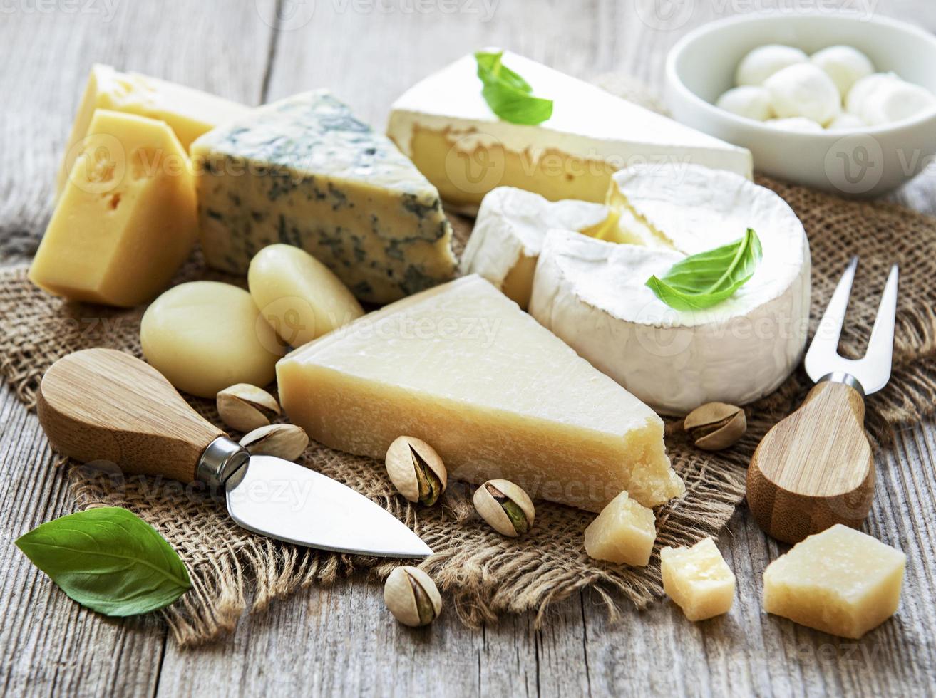 différents types de fromage au basilic et aux noix photo