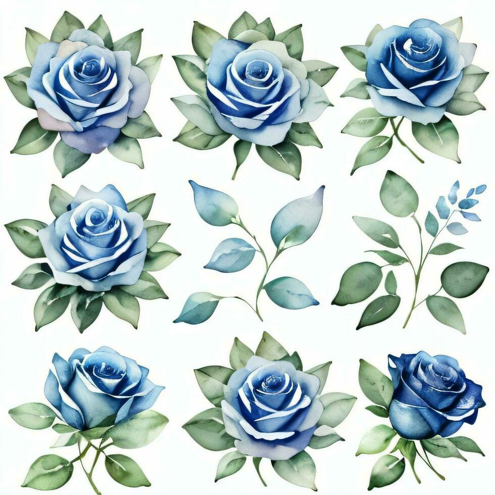 aquarelle bleu des roses clipart photo