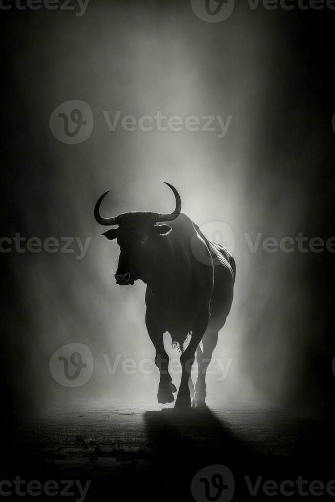 taureau vache studio silhouette photo noir blanc ancien rétro-éclairé portrait mouvement contour tatouage