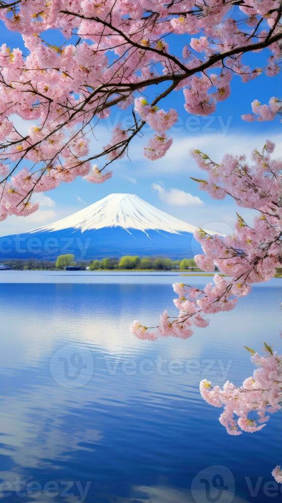 Japon Zen paysage panorama vue la photographie Sakura fleurs pagode paix silence la tour mur photo