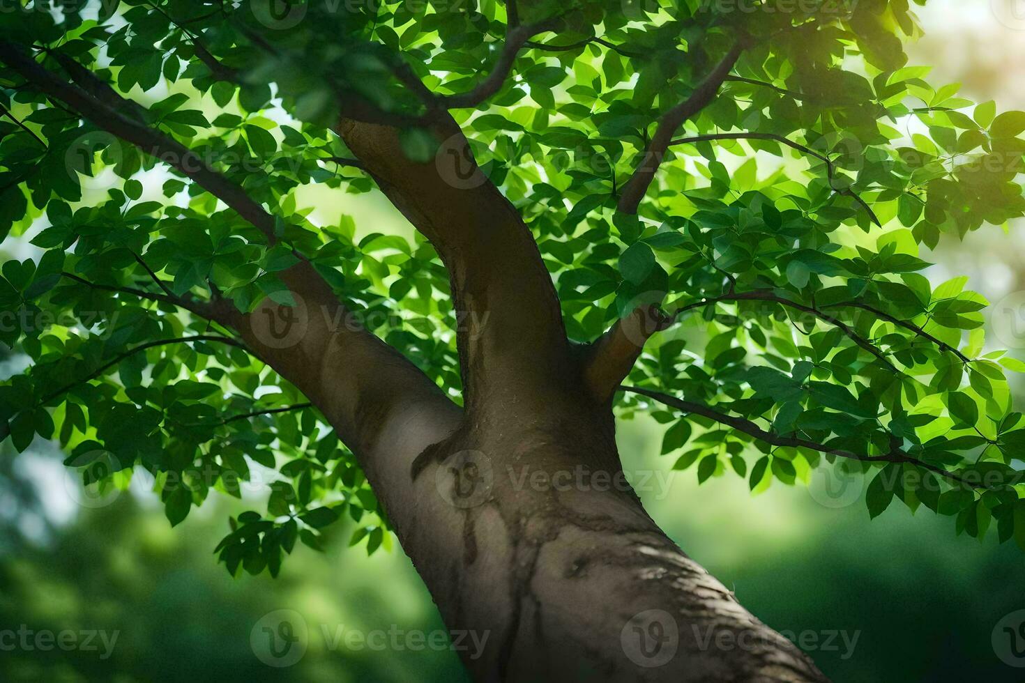 une arbre avec vert feuilles et lumière du soleil brillant à travers. généré par ai photo