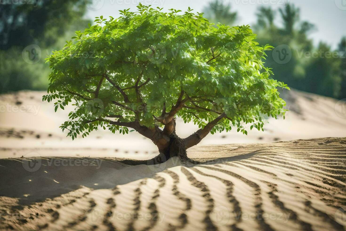 une arbre dans le désert. généré par ai photo