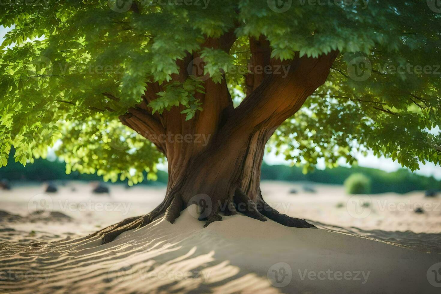 une arbre dans le désert avec le sable et des arbres. généré par ai photo