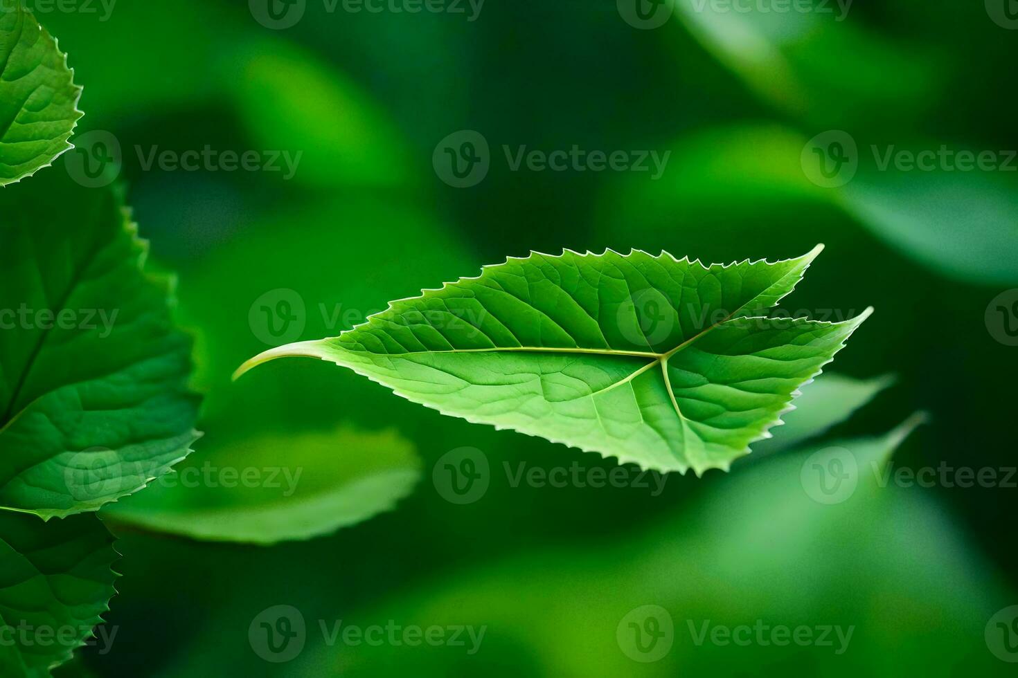 une proche en haut de une feuille avec vert feuilles. généré par ai photo