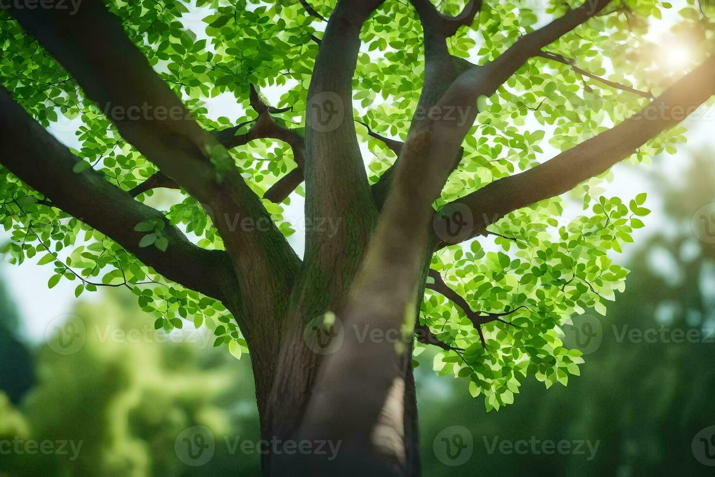 une arbre avec vert feuilles et lumière du soleil brillant par il. généré par ai photo