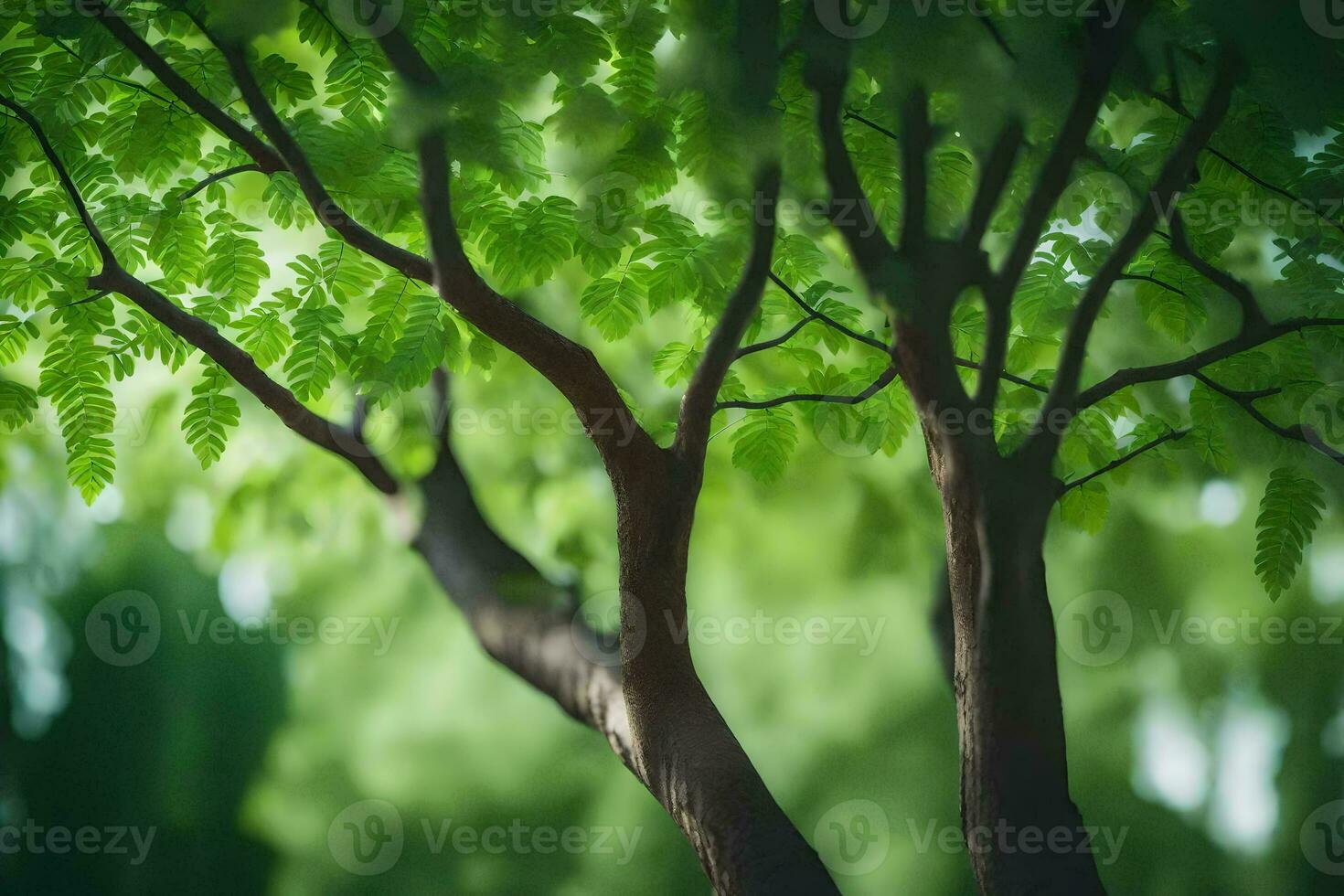 une arbre avec vert feuilles dans le Contexte. généré par ai photo