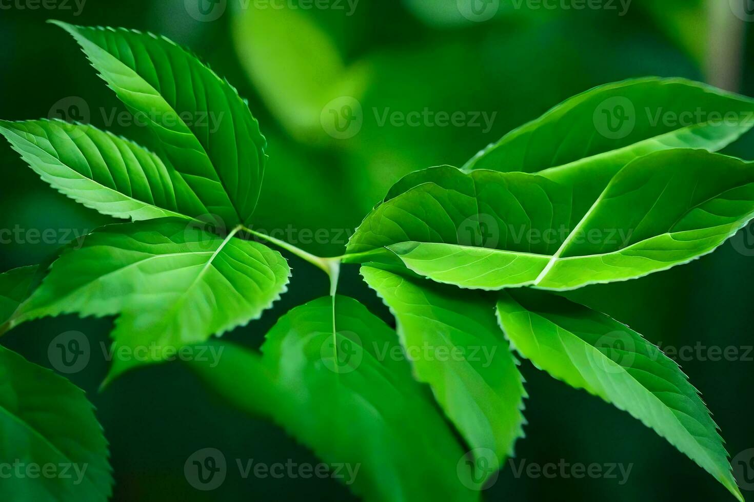 une proche en haut de vert feuilles sur une arbre. généré par ai photo