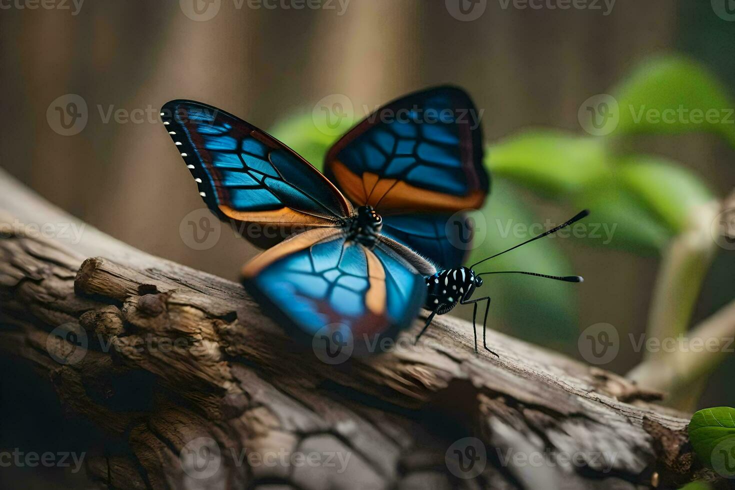 une bleu papillon avec Orange ailes séance sur une branche. généré par ai photo