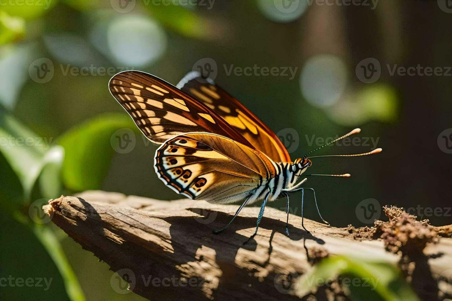 une papillon est séance sur une branche dans le Soleil. généré par ai photo