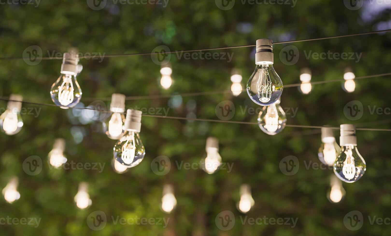 lumières décoratives pour la fête d'été photo