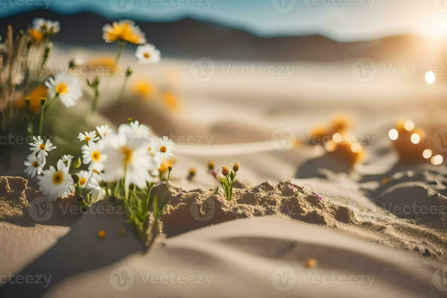 le fleurs dans le désert. généré par ai photo