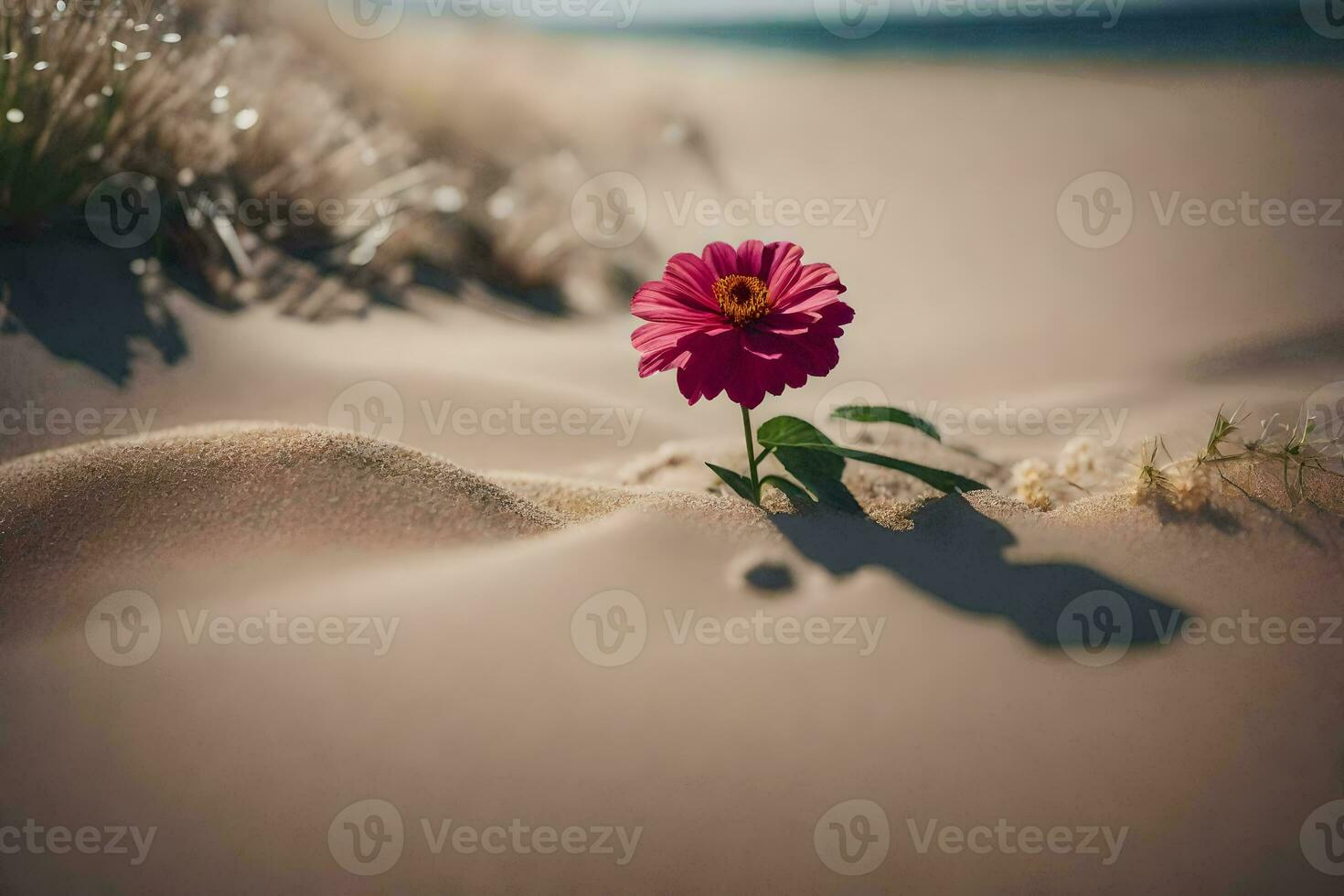 une Célibataire fleur est croissance en dehors de le sable. généré par ai photo