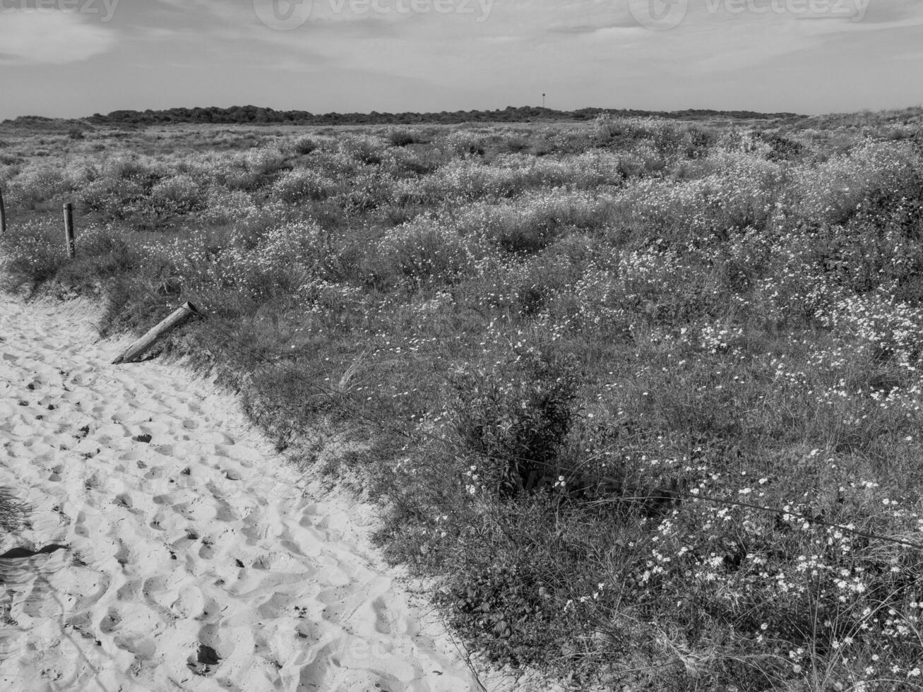 île de langeoog dans la mer du nord photo