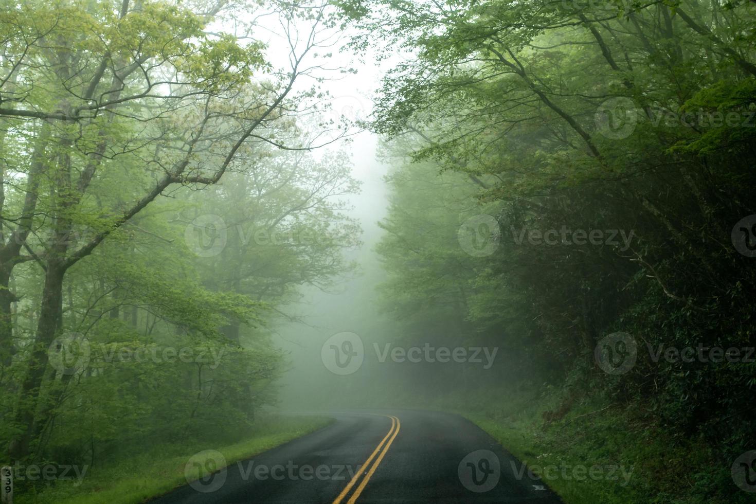 Tôt le matin, traverser la Blue Ridge Parkway au printemps photo