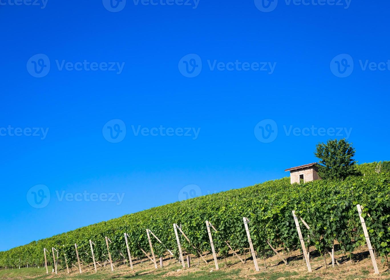 collines du piémont en italie avec une campagne pittoresque photo