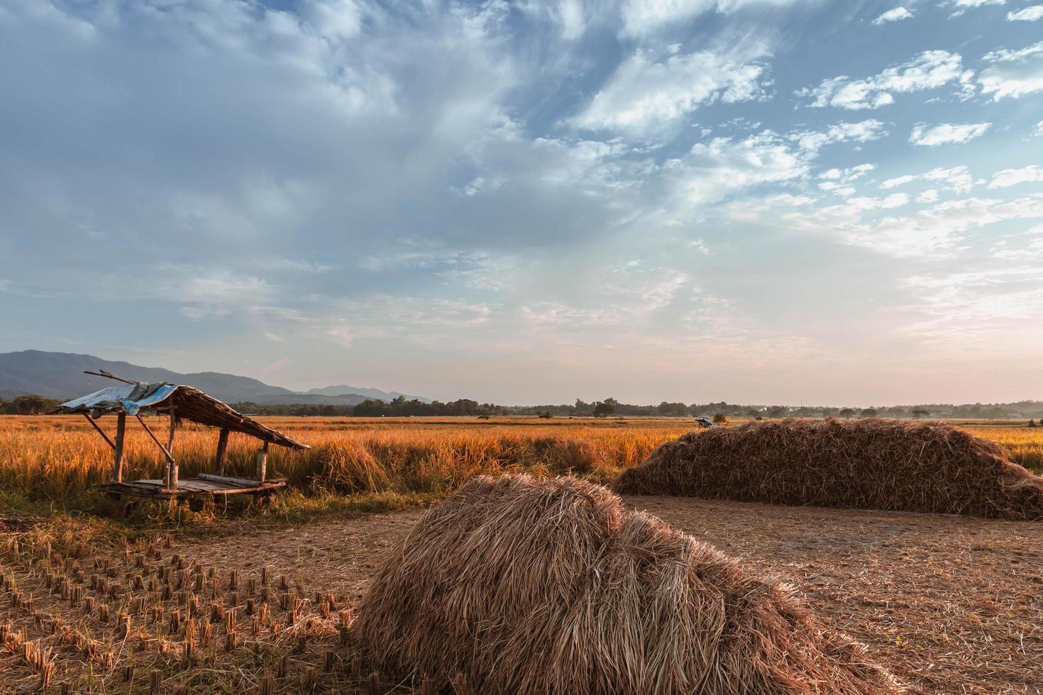 les meules de foin et le beau ciel photo