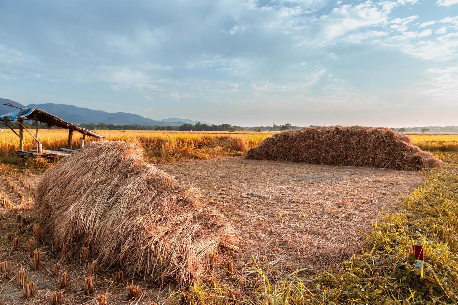 les meules de foin et le beau ciel photo