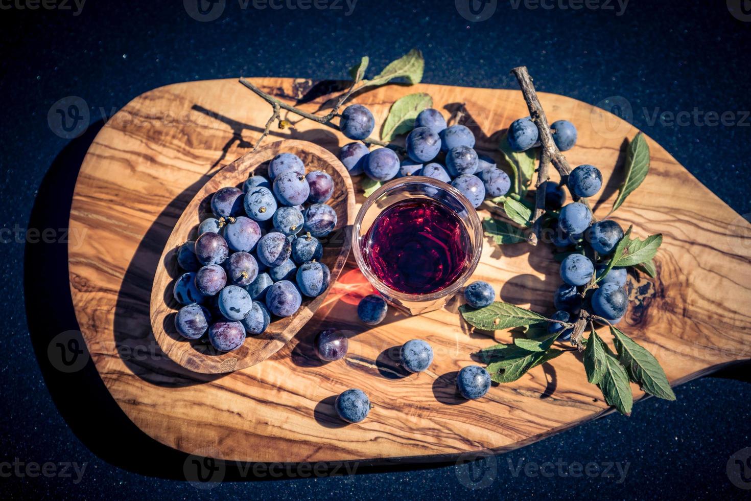 fruits du prunellier photo