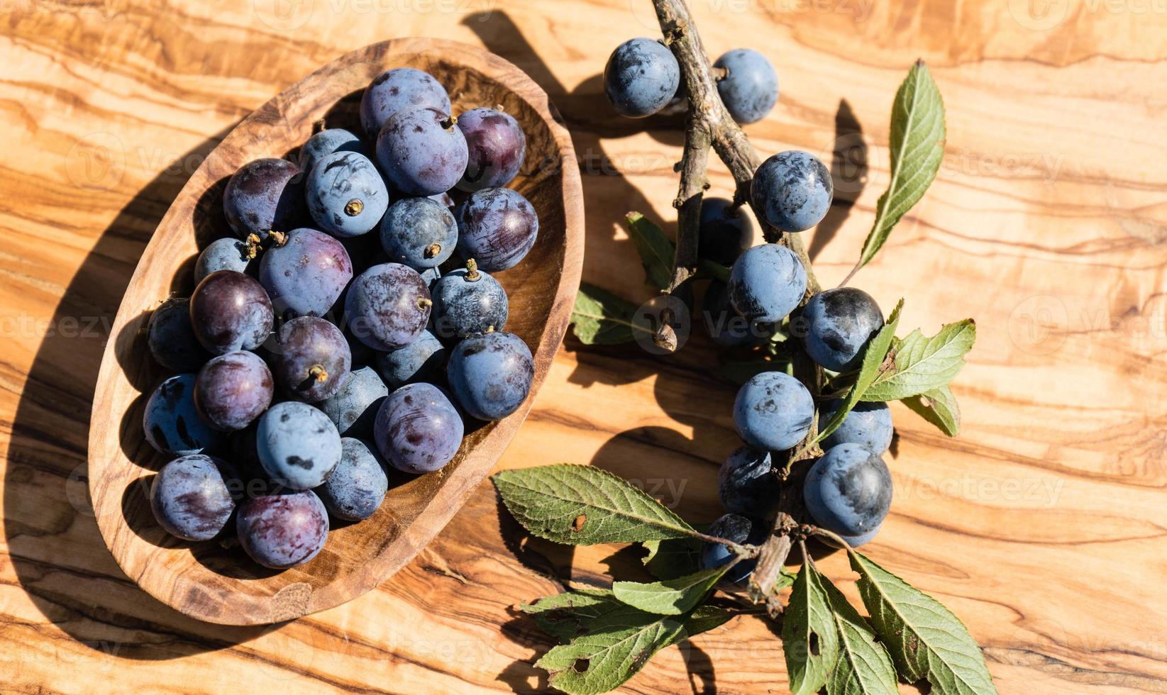 fruits du prunellier photo