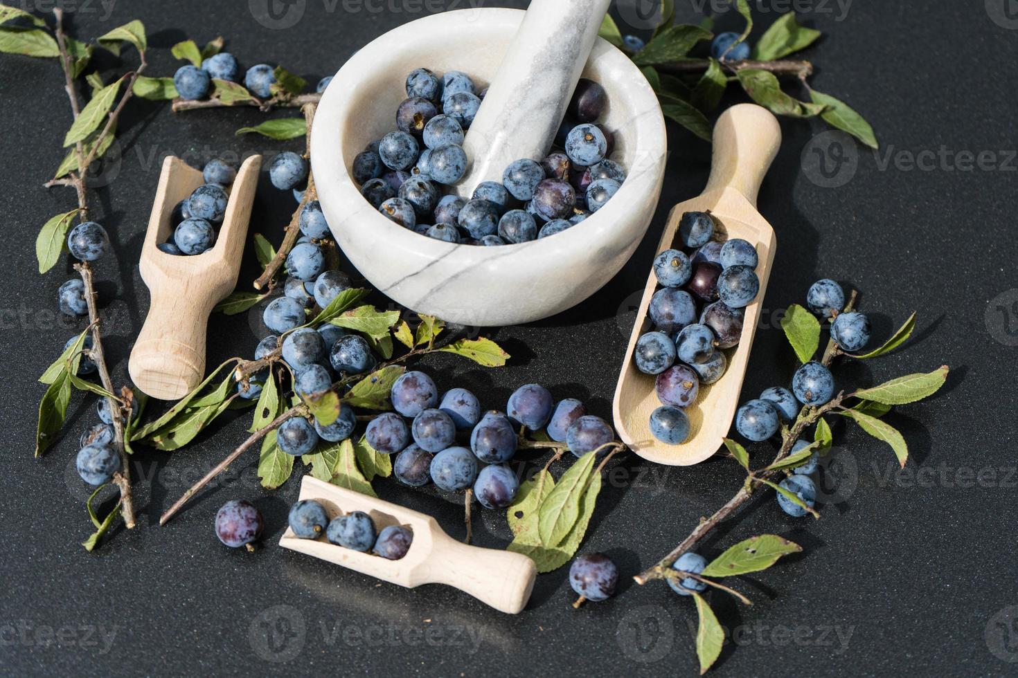 fruits du prunellier photo