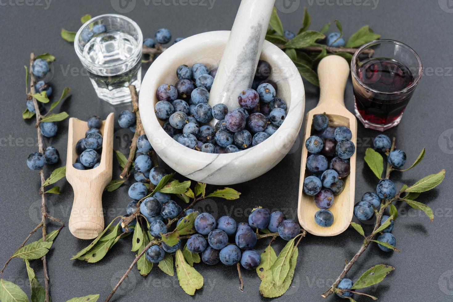 fruits du prunellier photo