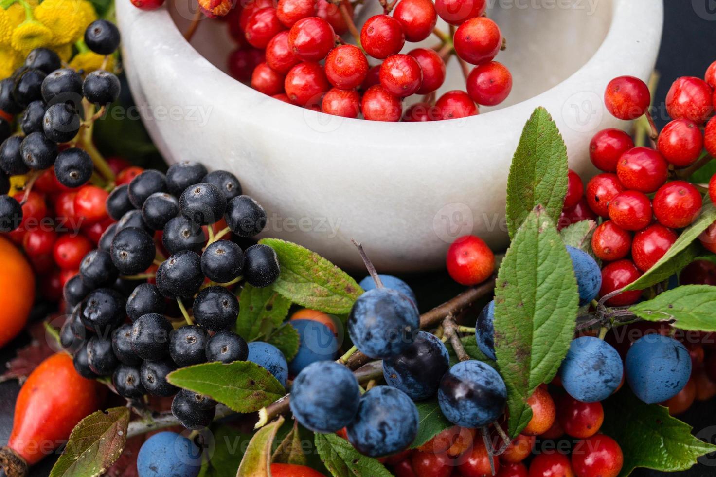 médecine alternative avec des herbes pharmaceutiques fruits et baies photo