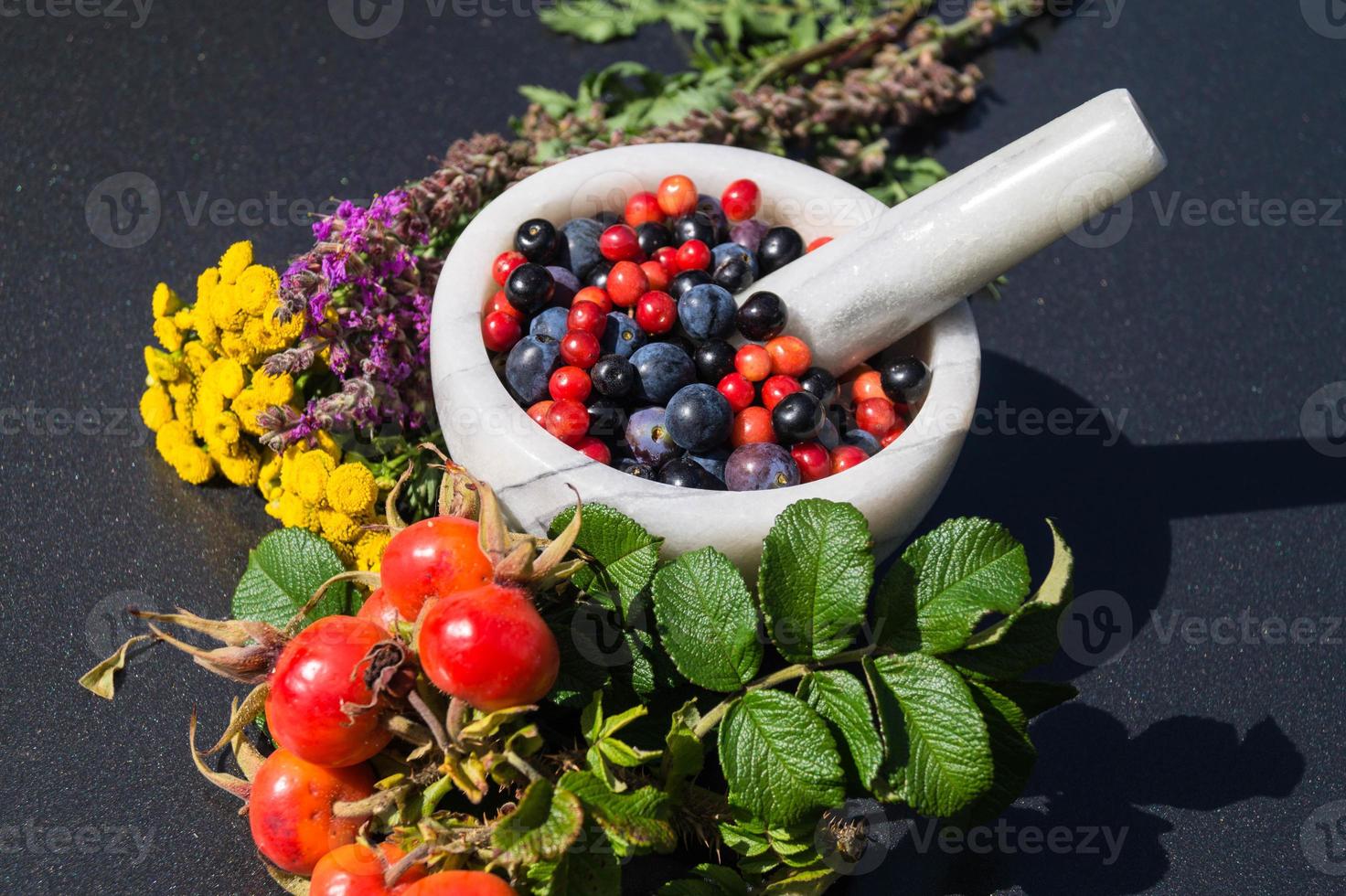 médecine alternative avec des herbes pharmaceutiques fruits et baies photo