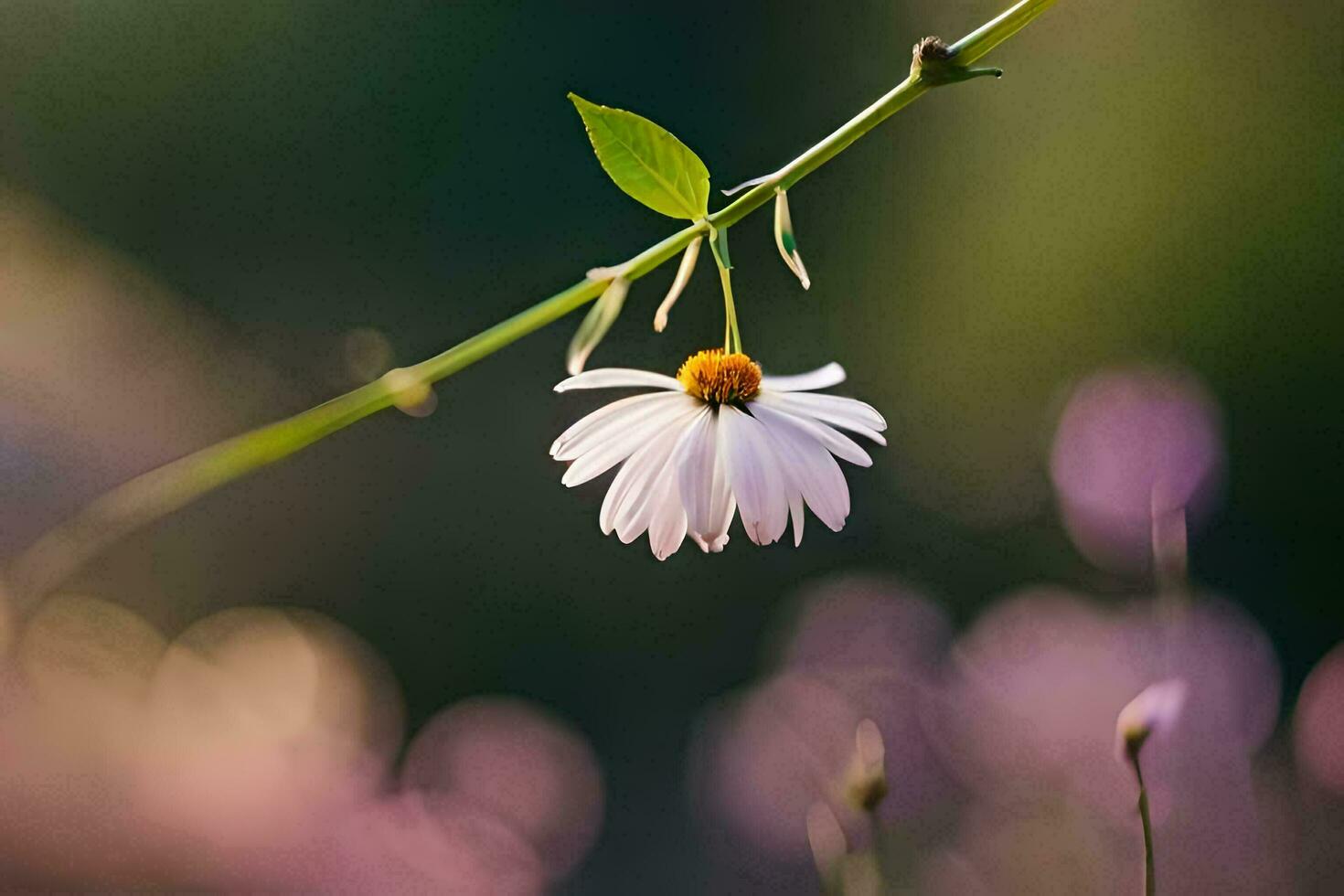 une Célibataire blanc fleur est sur une branche. généré par ai photo