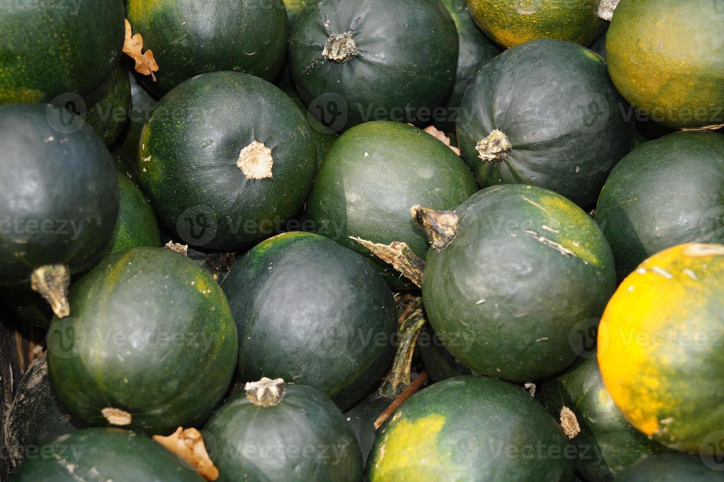 citrouilles sur un marché d'agriculteurs photo