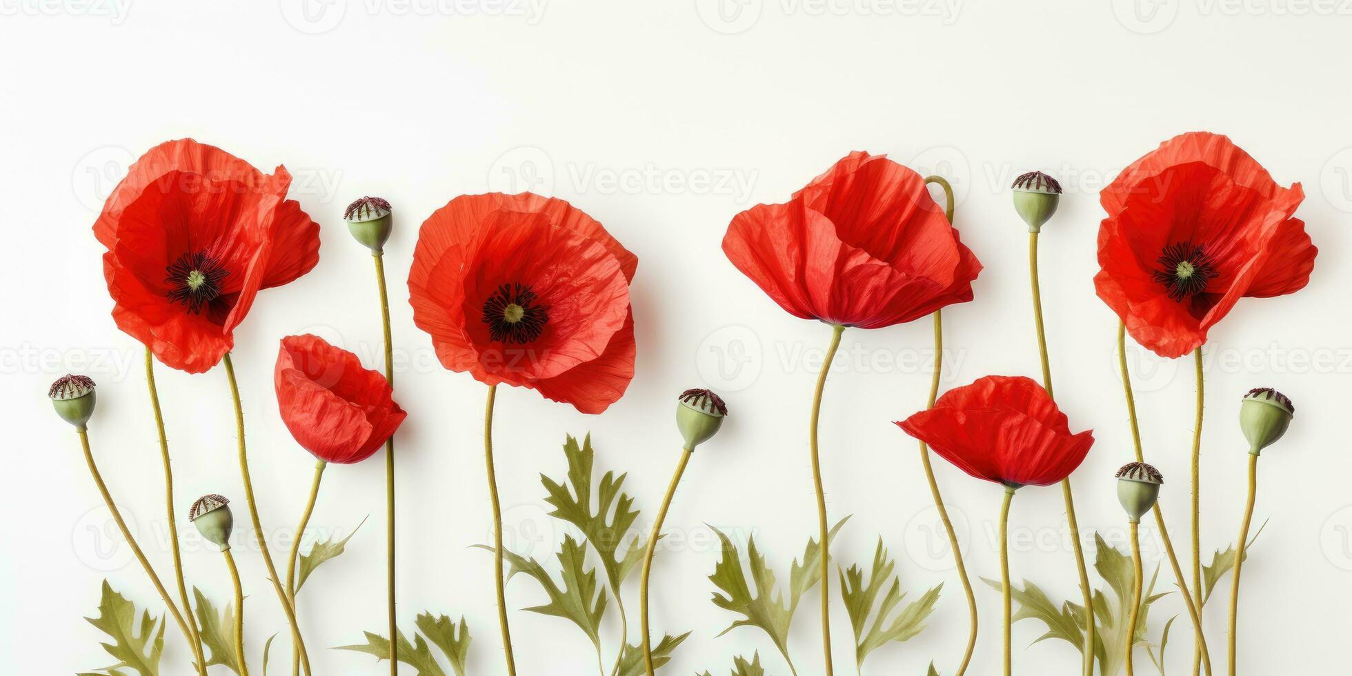 coquelicot journée. Mémoire de tout le soldats qui décédés dans guerres impliquant génial grande-bretagne. génératif ai photo