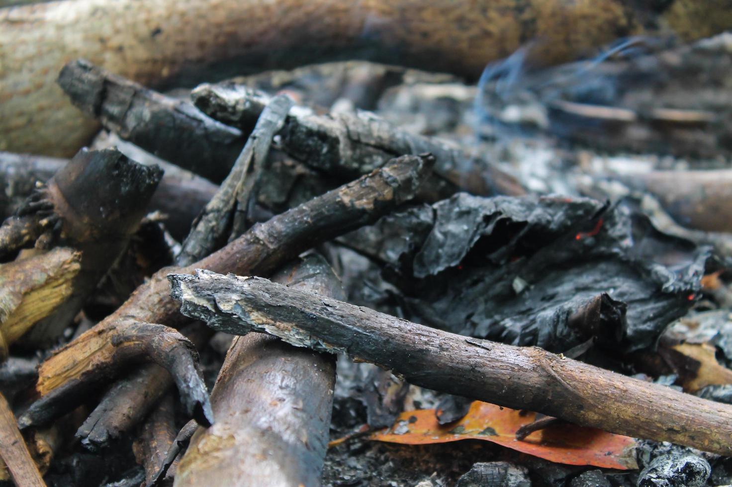 gros plan de charbon de bois de feu photo