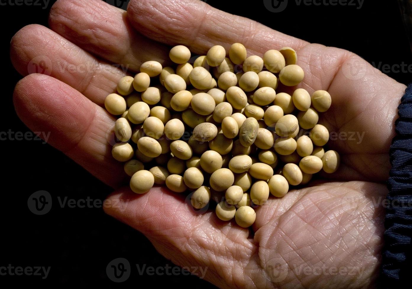 préparation de doenjang, cuisine traditionnelle coréenne. détail de soja photo