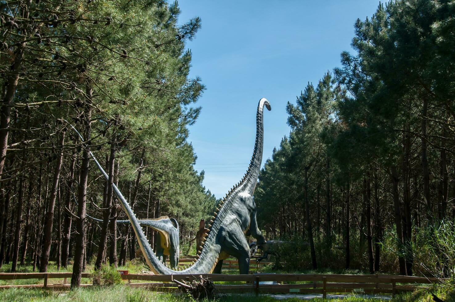 ville de Lourinha dans le Portugal, dino parc, grandeur nature dinosaure réplique photo