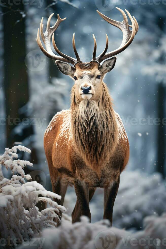 cerf sur neige la nature arrière-plan, ai généré photo