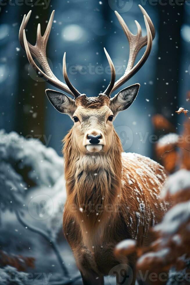 cerf sur neige la nature arrière-plan, ai généré photo