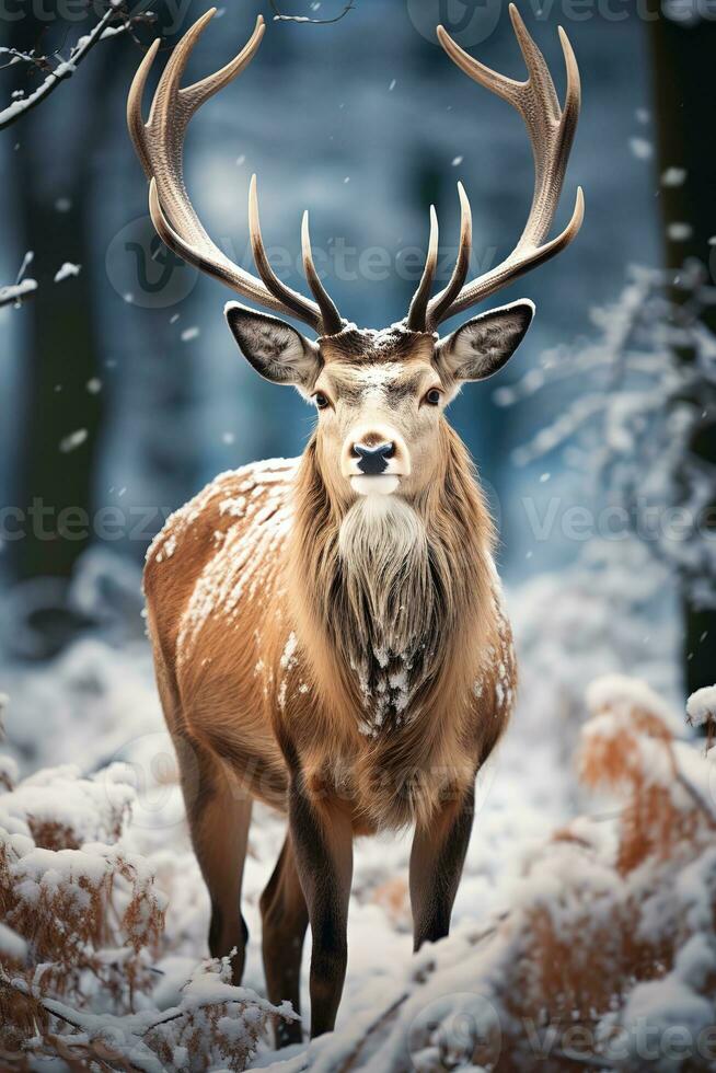 cerf sur neige la nature arrière-plan, ai généré photo