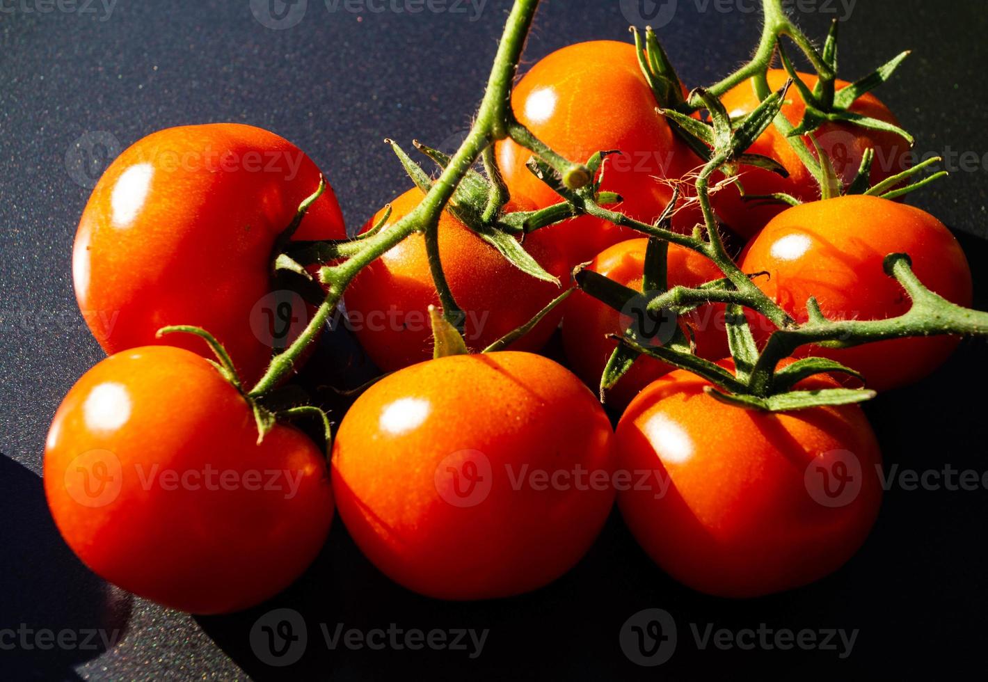 tomates rondes rouges solanum lycopersicum photo