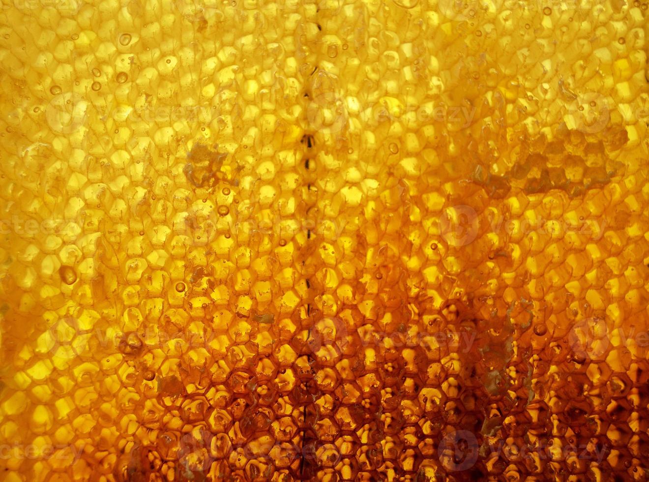 goutte de miel d'abeille goutte de nids d'abeilles hexagonaux photo