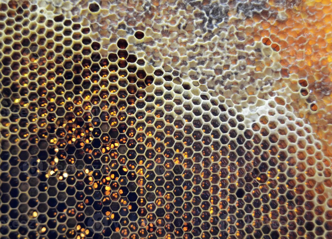 goutte de miel d'abeille goutte de nids d'abeilles hexagonaux photo