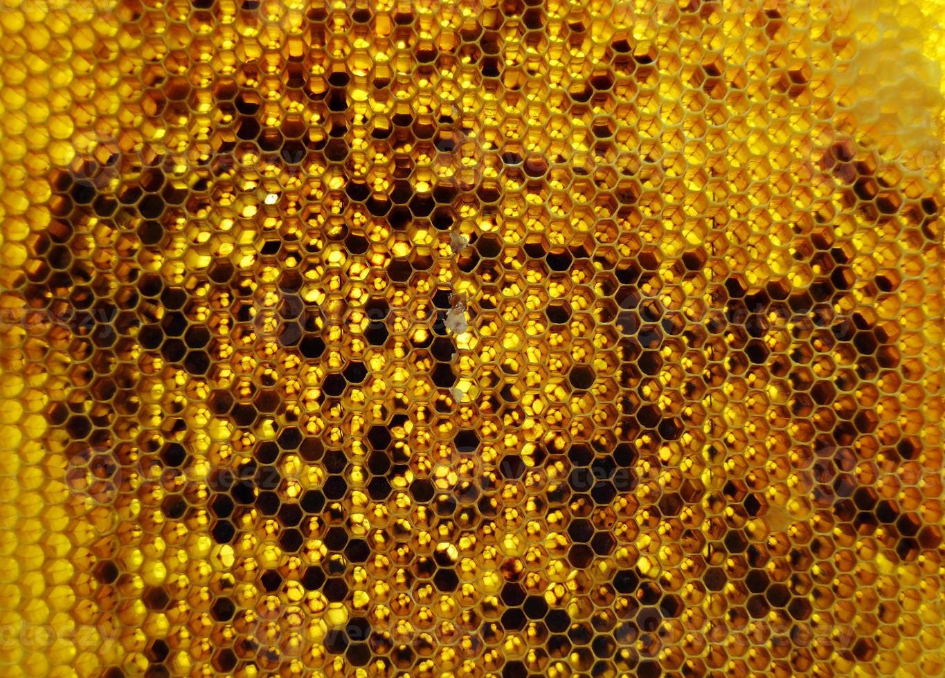 goutte de miel d'abeille goutte de nids d'abeilles hexagonaux photo