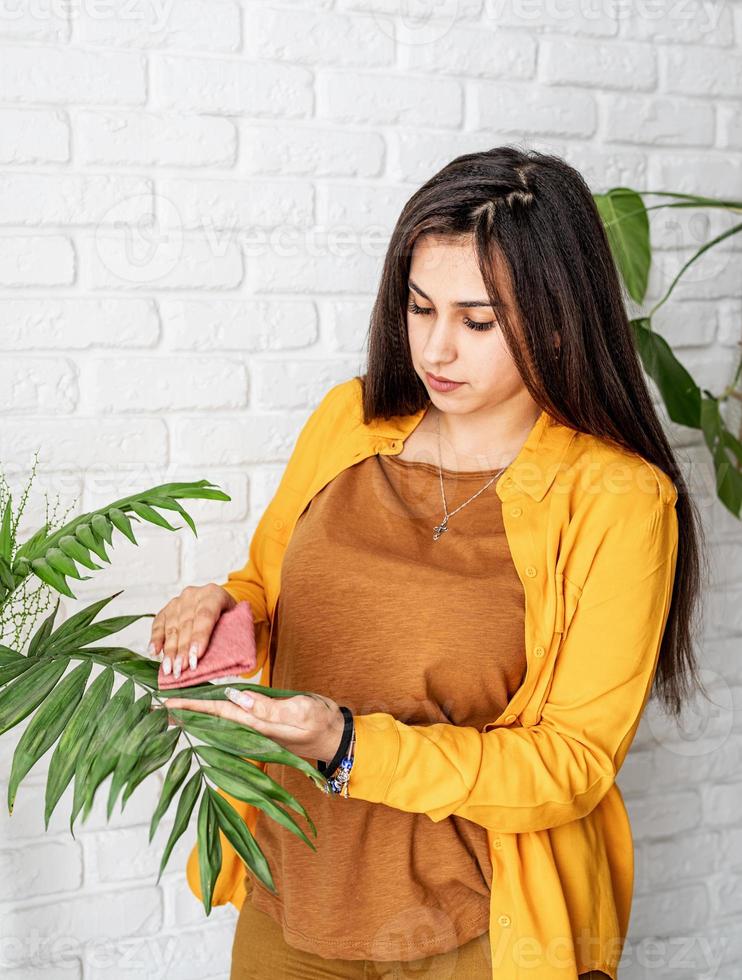 jardinier femme prenant soin de ses plantes de jardin photo