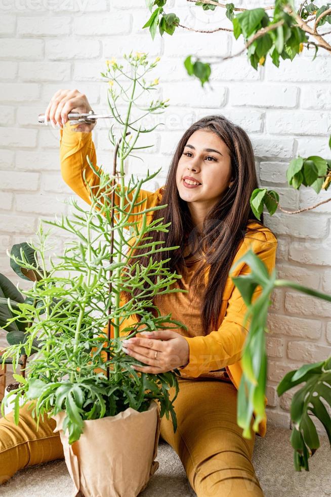 jardinier femme prenant soin de ses plantes de jardin photo