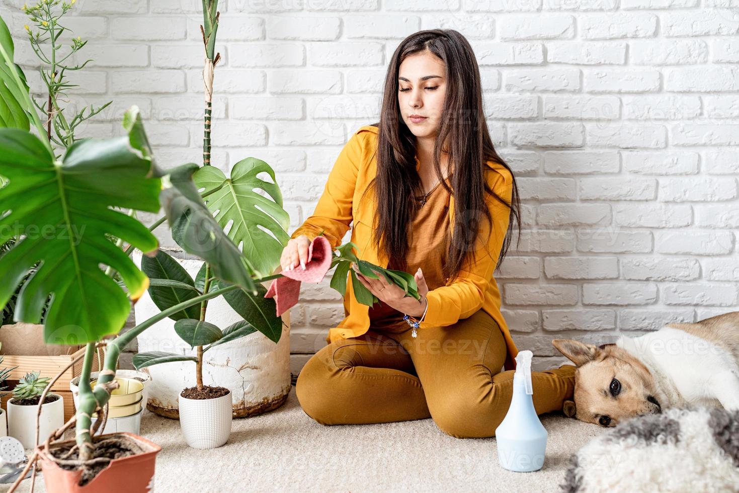 jardinier prenant soin de ses plantes de jardin et caressant son chien photo