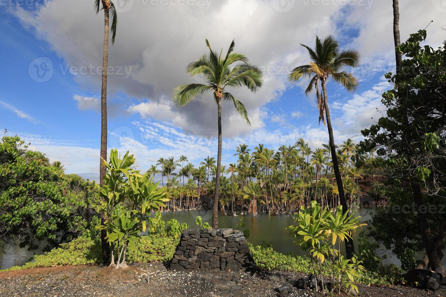 Étang à poissons dans le parc historique de Kalahuipuaa sur la grande île d'Hawaï photo