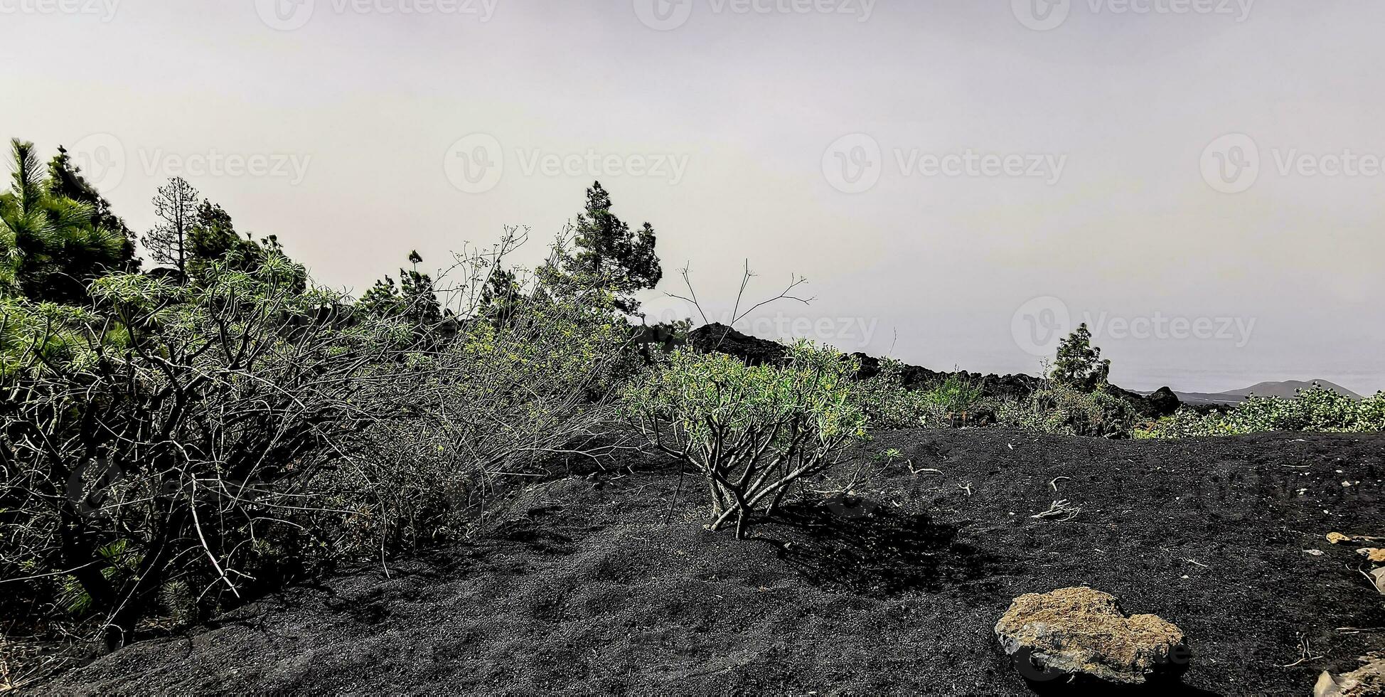 solidifié volcanique lave courant de le cumbre vieja volcan sur le île de la palma photo