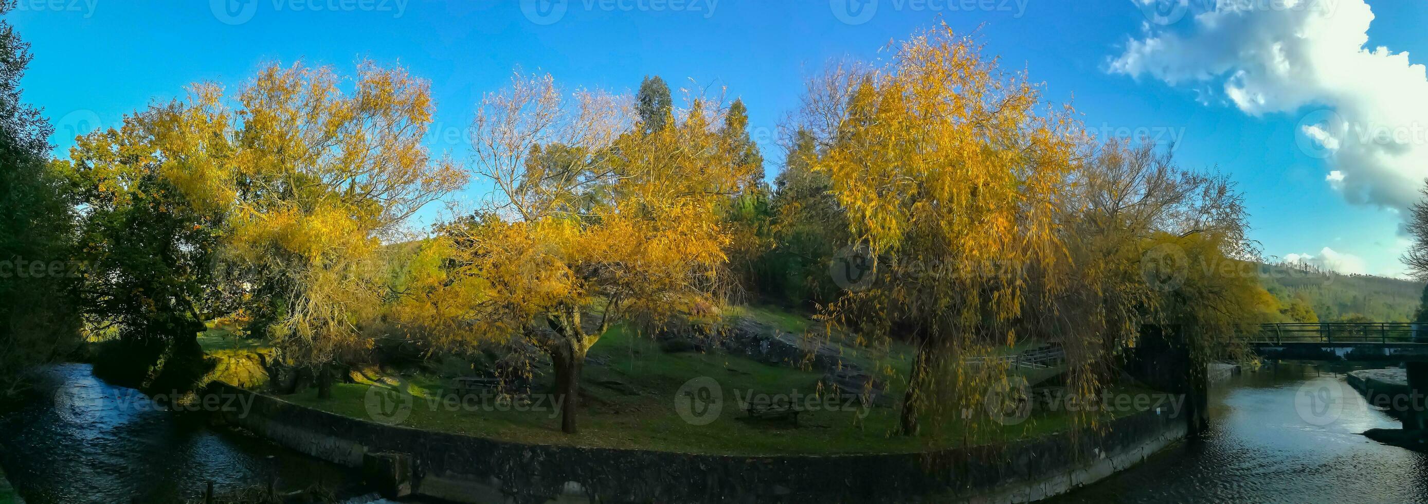 le Naturel beauté de l'automne couleurs et chute feuilles photo